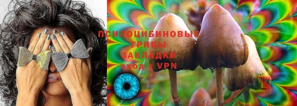 хмурый Надым
