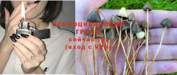 хмурый Надым