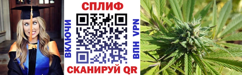 Бошки Шишки семена  Купить закладки  Мантурово 